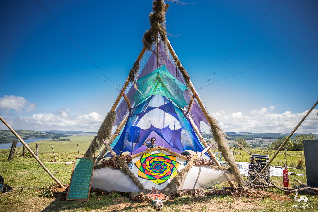 Flávio Ribeiro / MushPics © Copyright- Todos os direitos reservados. All rights reserved.