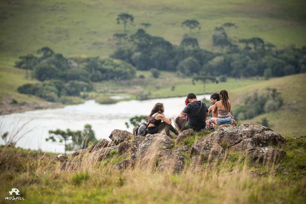 Flávio Ribeiro / MushPics © Copyright- Todos os direitos reservados. All rights reserved.