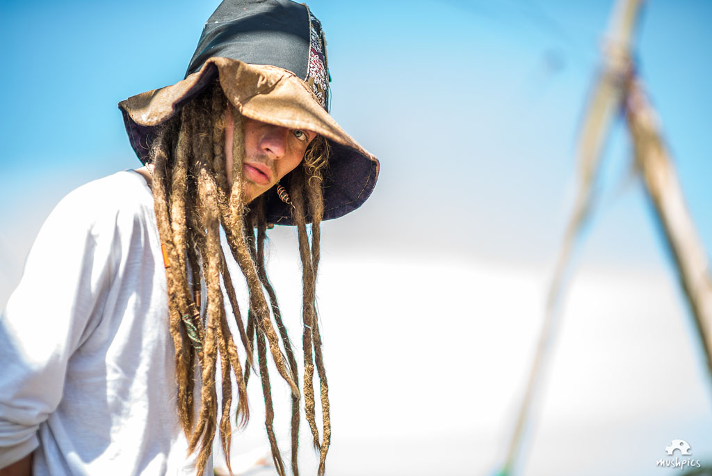 Flávio Ribeiro / MushPics © Copyright- Todos os direitos reservados. All rights reserved.