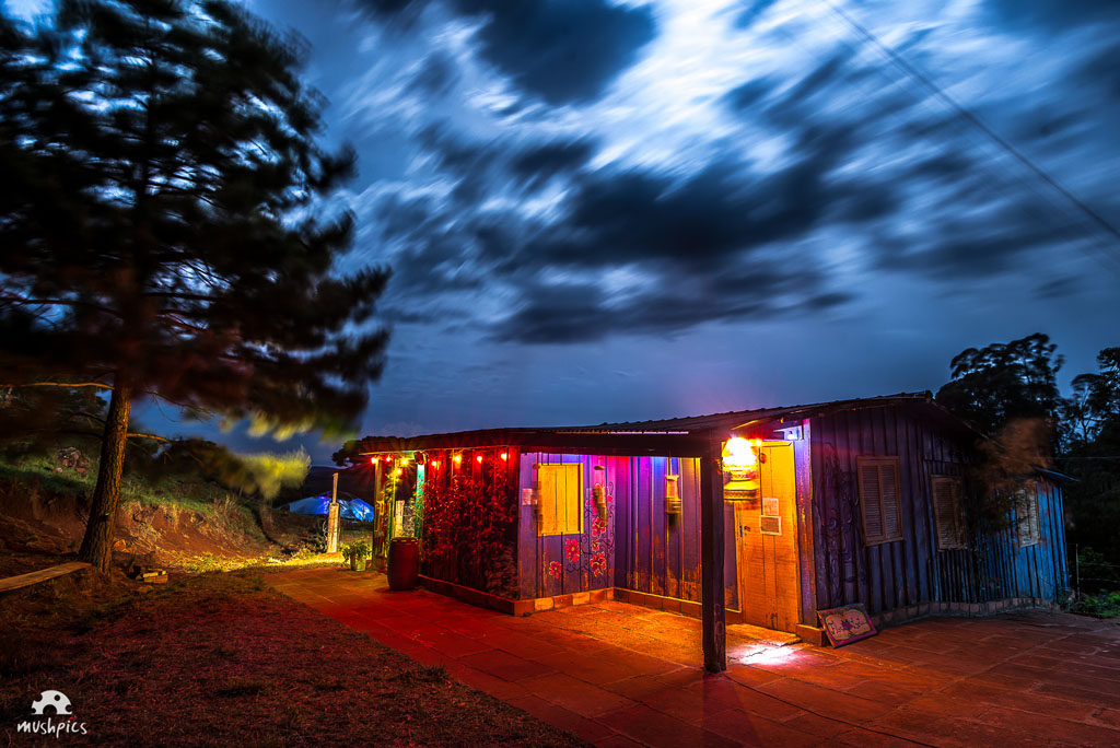 Flávio Ribeiro / MushPics © Copyright- Todos os direitos reservados. All rights reserved.