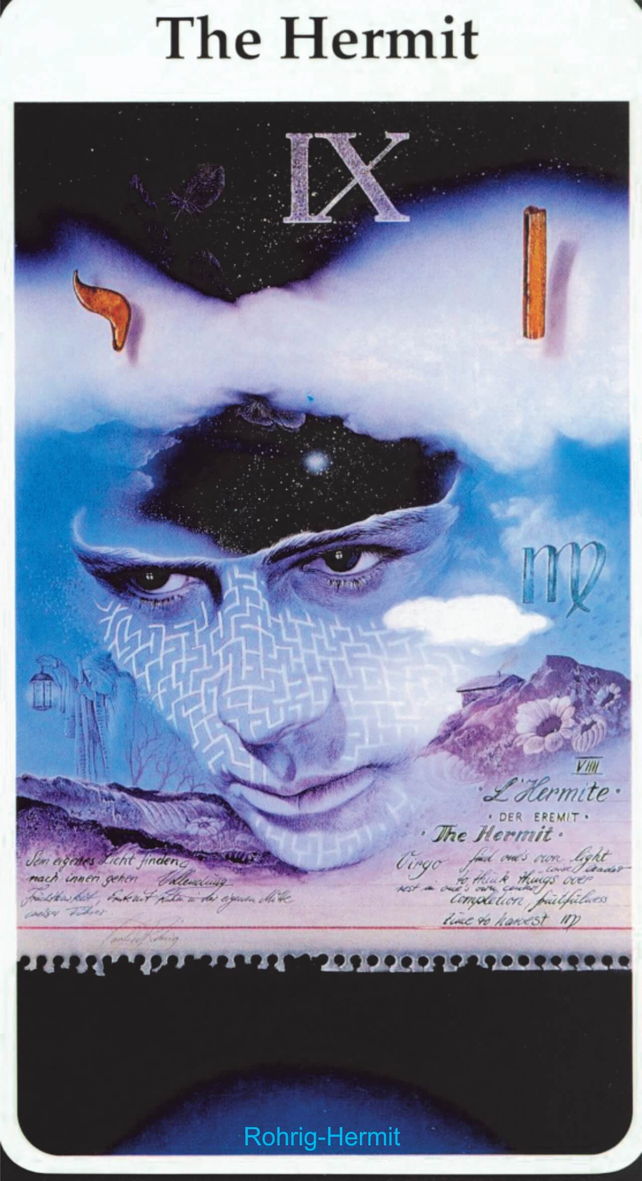 > <img data-lazyloaded=