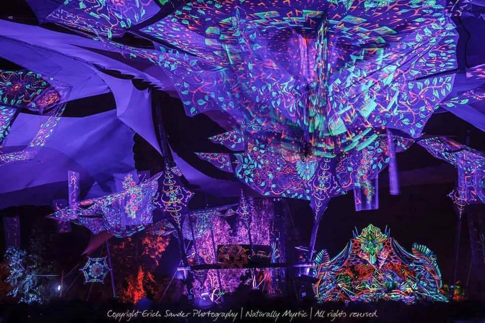 >Pulsar</strong> 2017 | Pinturas: Free Optics | Fotografia: Erich Sander</p><h2><strong>Da onde vocês são?</strong></h2><p><strong>SURYA ECOART</strong>: Somos do Distrito Federal – <strong>Brasília</strong>, mas hoje em dia temos integrantes espalhados por todo Brasil.</p><h2><strong>Como chegaram a trabalhar com montagem de cenografia? Foi vontade ou necessidade?</strong></h2><p><strong>SE:</strong> No ano de <strong>2009</strong> iniciamos um movimento cultural em Brasília chamado <strong>Forest Family</strong>, que posteriormente acabou se tornando uma festa grande. Tendo em vista a necessidade de montar o evento, começamos nossa jornada na área da construção/cenografia, e após alguns anos o que incialmente era nossa necessidade se tornou nosso trabalho.</p><p style=