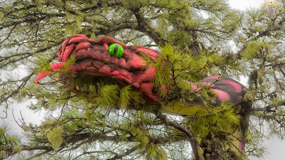 ><img data-lazyloaded=