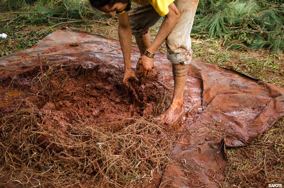 >Fotografia: <a href=