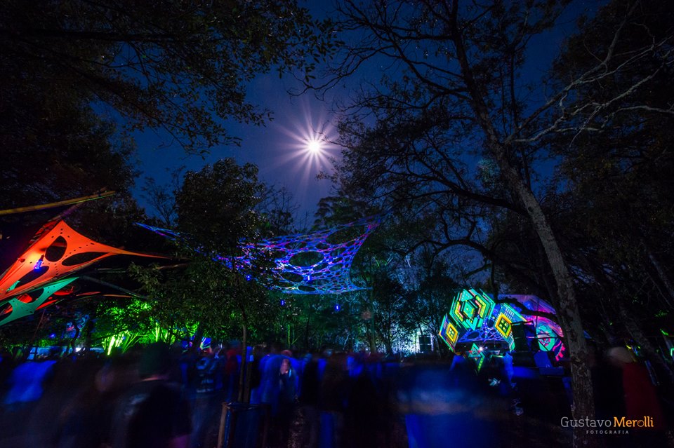 ></a><img data-lazyloaded=