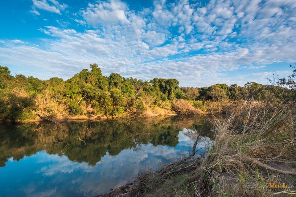 ><img data-lazyloaded=