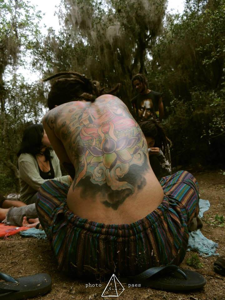 ></strong>Fotografia:<strong><a href=