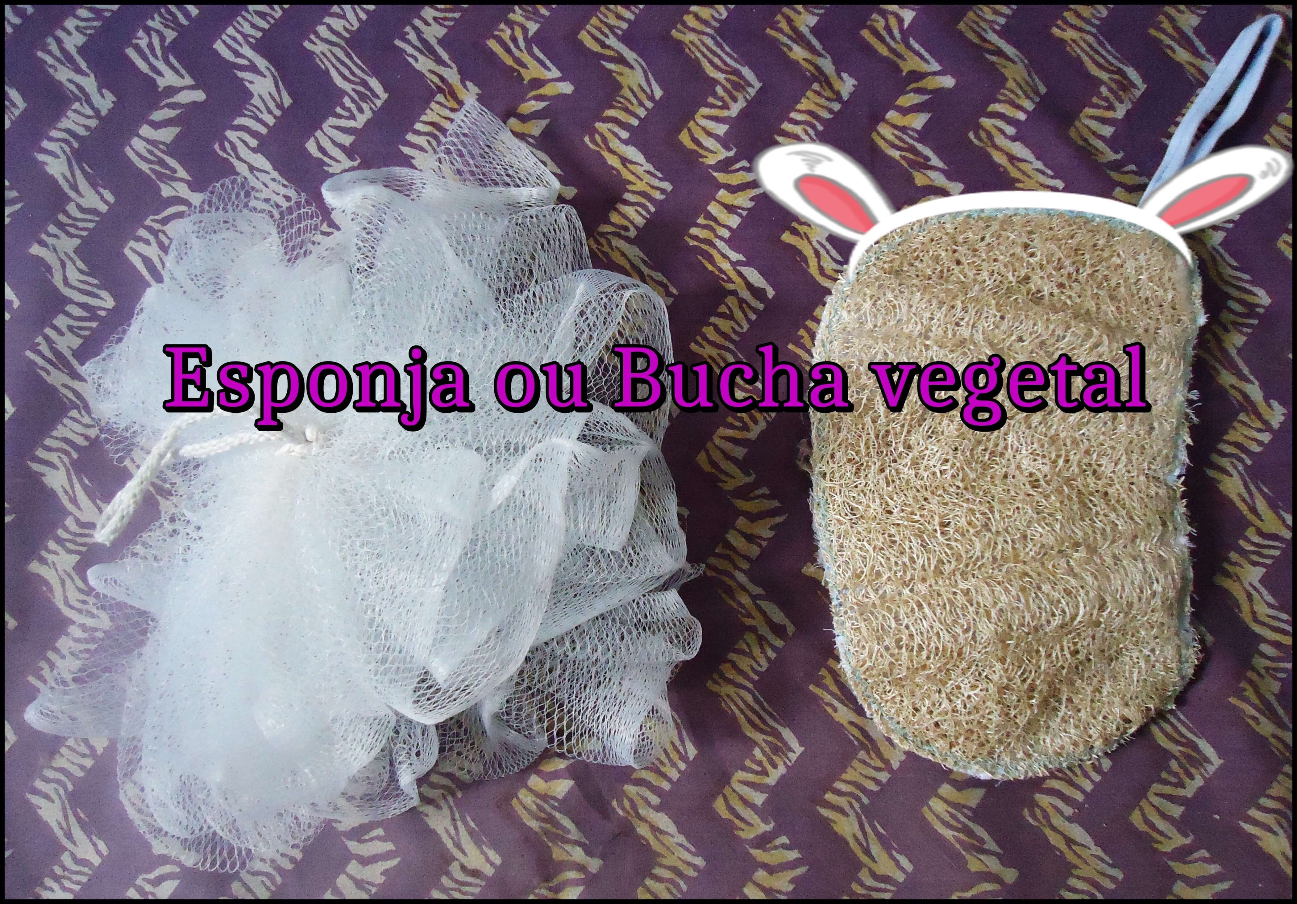 ></p></div><p style=