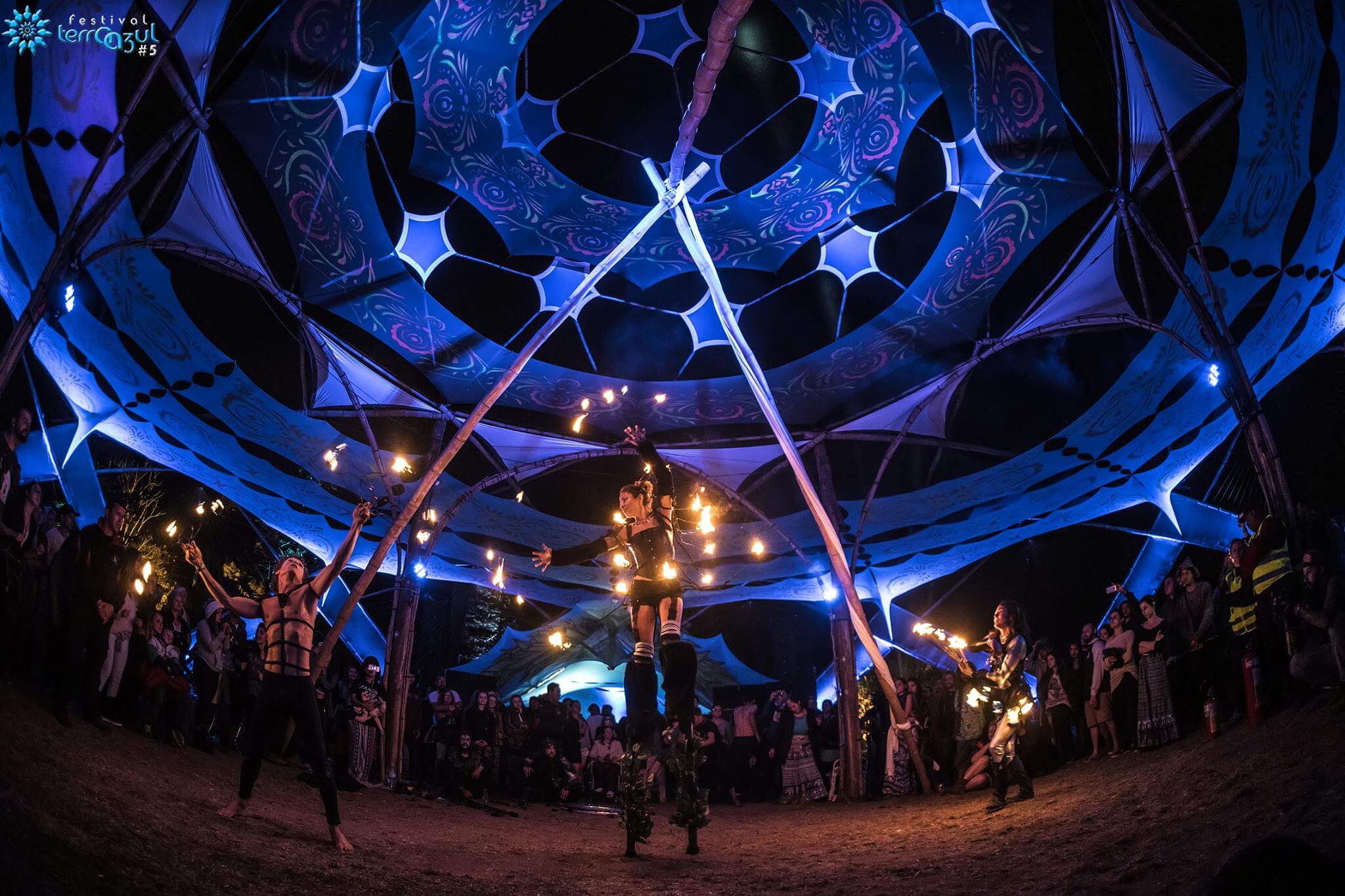 ><img data-lazyloaded=