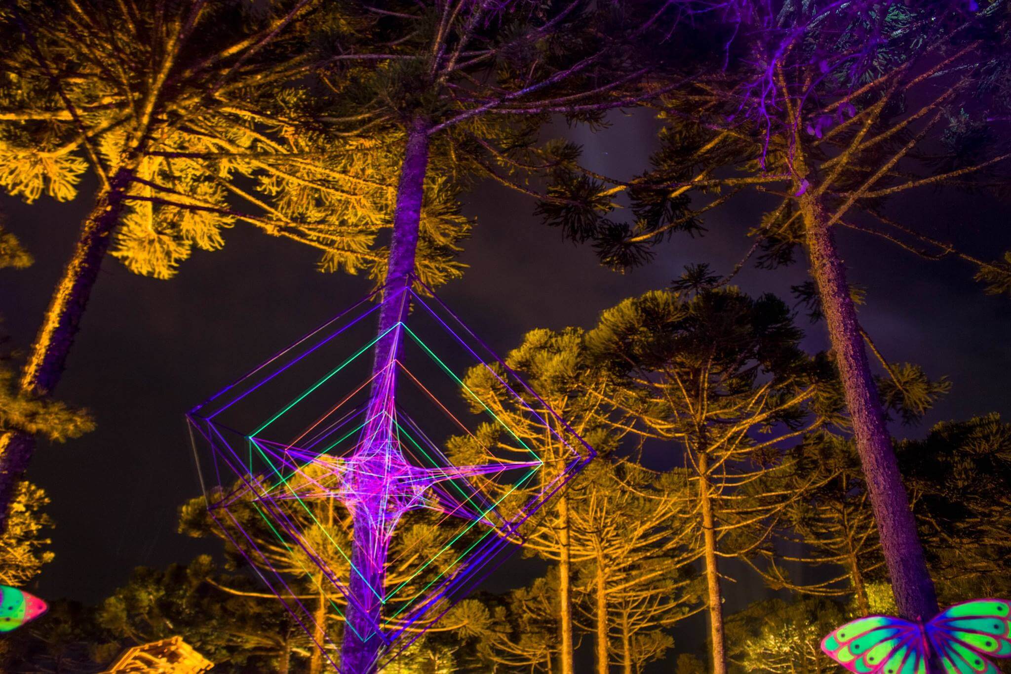 ><img data-lazyloaded=