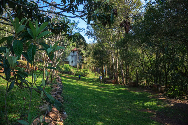 ><img data-lazyloaded=