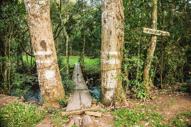 ><img data-lazyloaded=