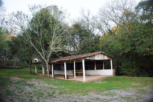 ><img data-lazyloaded=