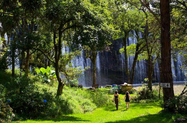 ><img data-lazyloaded=