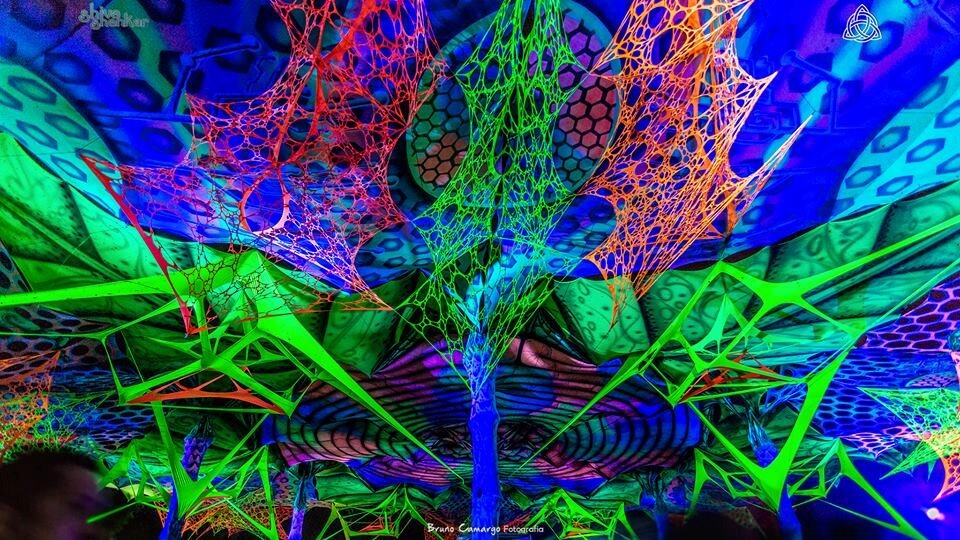 ><img data-lazyloaded=