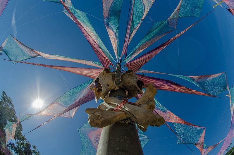 ><img data-lazyloaded=