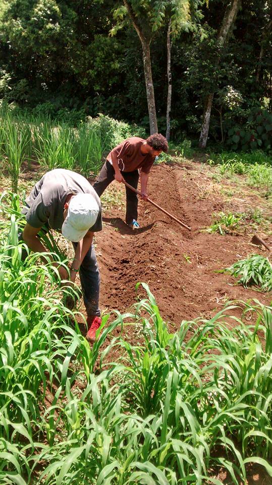 Preview Nyahbinghi 2018 Arte, Cultura e Igualdade • Trance e Cultura