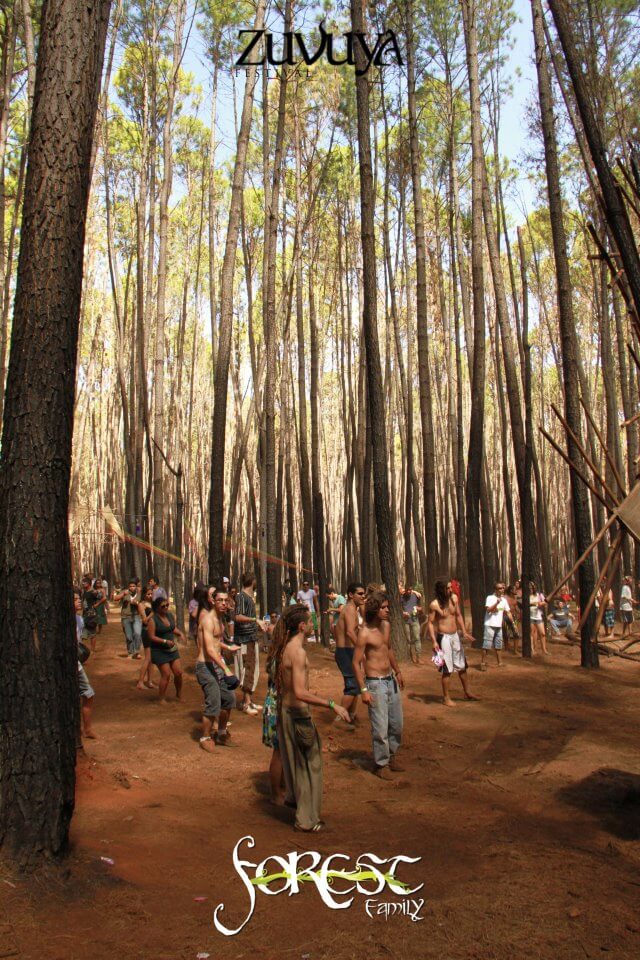 ><img data-lazyloaded=