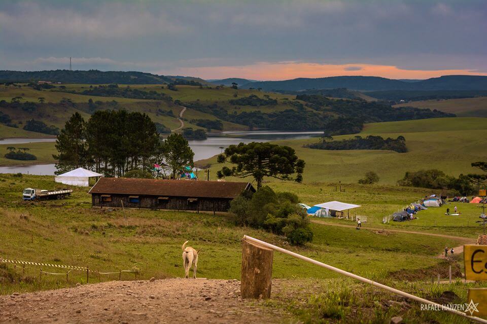 ><img data-lazyloaded=