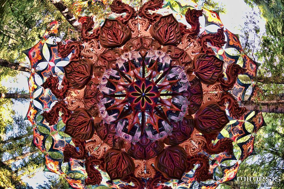 ><img data-lazyloaded=