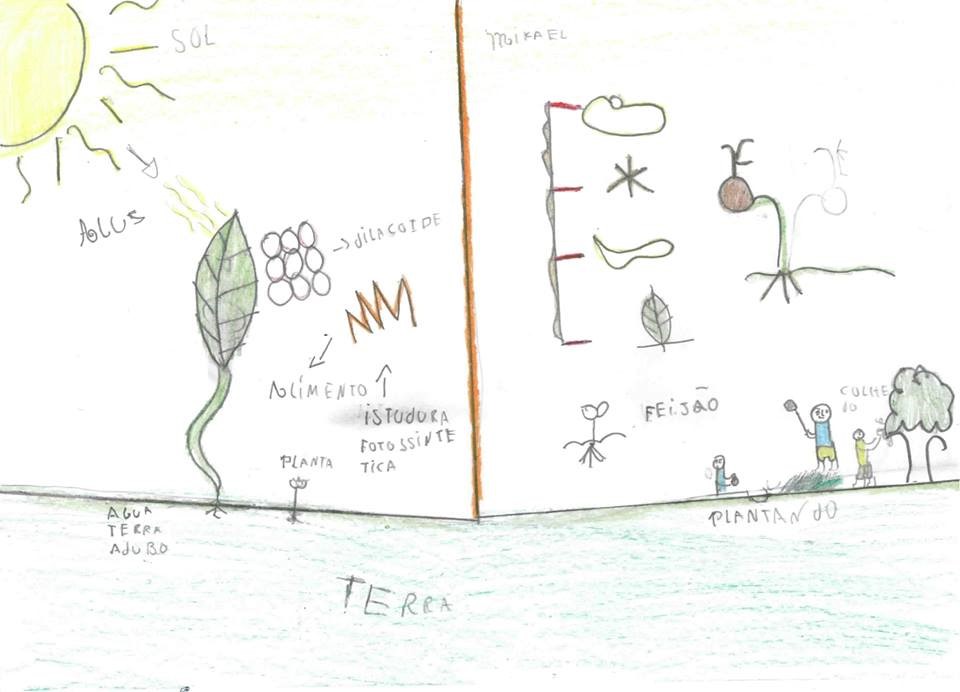 >Participante Virgilio transpassando o que aprendeu.</p><p>O Projeto consiste em trazer ao conhecimento deles toda a <strong>dinâmica do reino vegetal</strong>, como as plantas se multiplicam e quais suas estruturas para tal realização. Entendido como elas se propagam avançamos ao seu desenvolvimento e funcionamento de toda maquinaria biológica de forma que é passada na Botânica pesada das acadêmicas.</p><p style=