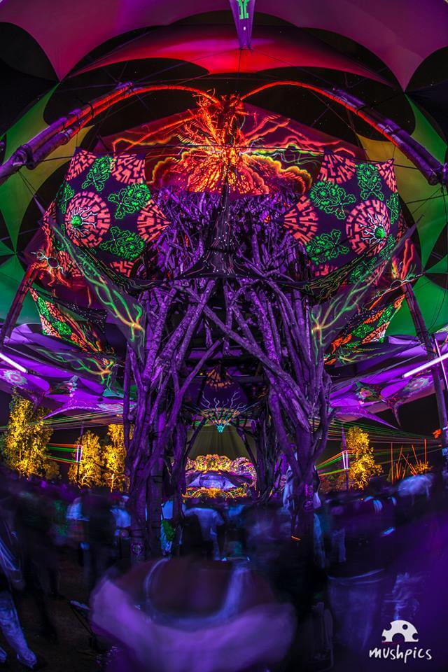 ><strong>Pulsar Festival</strong> 2016 | Fotografias: (2ª) – <strong><a class=