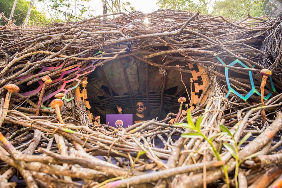 ><img data-lazyloaded=