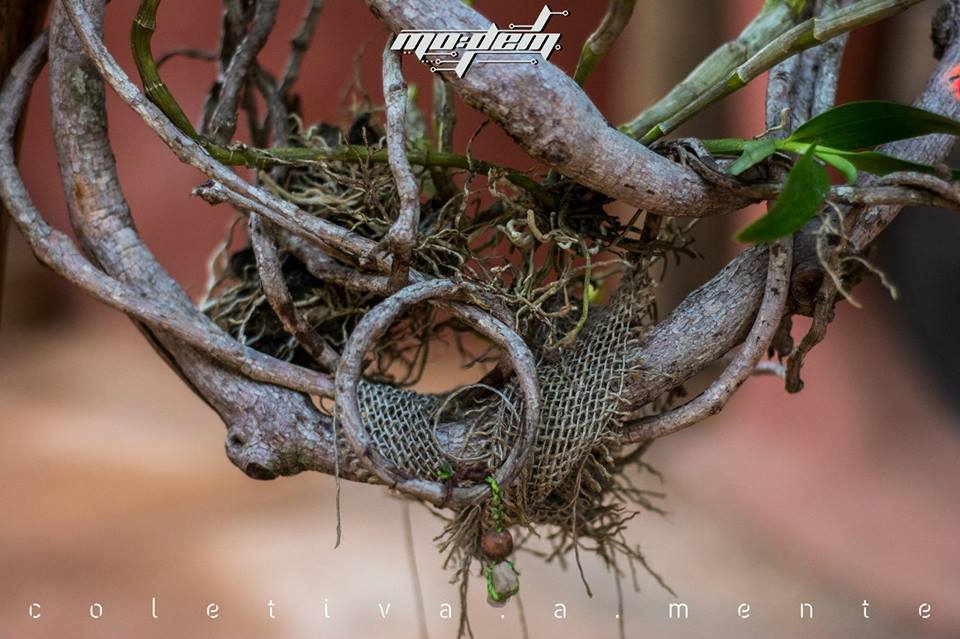 > <img data-lazyloaded=