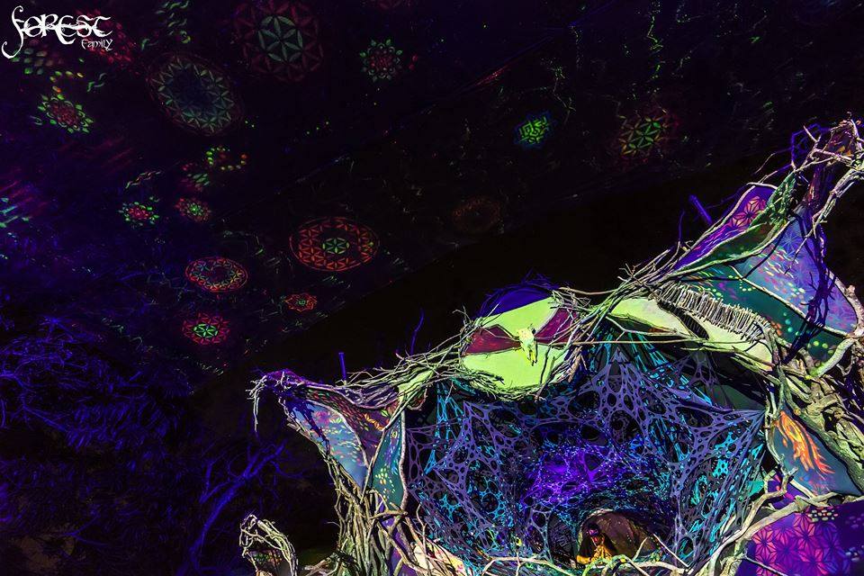 ><img data-lazyloaded=