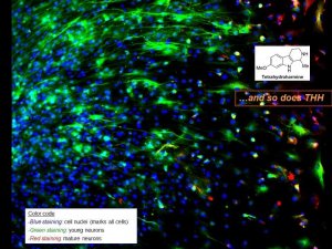 ></p><p>Resumindo:</p><p><span style=