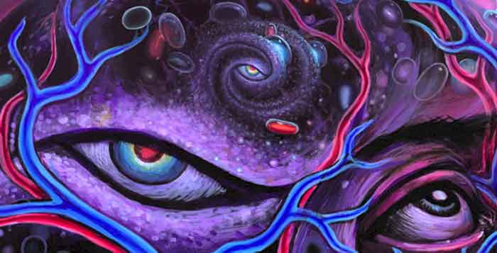 ></h2><h3>A <strong>poção</strong> célebre da <strong>Amazônia</strong></h3><p>Se estima que existem umas 450 espécies de plantas e cogumelos que podem ser definidos como <strong>psicoativos</strong>, dos quais cerca de 120 possuem <strong>propriedades alucinógenas</strong>.</p><p>Uma delas, é a <strong>ayahuasca  </strong>(também conhecida pelos nomes de caapi, daime, yajé, natema e hoasca), um <strong>piscoativo</strong> utilizado atualmente por mais de 70 grupos indígenas diferentes, espalhados pelo Brasil, Colômbia, Peru, Venezuela, Bolívia e Equador. </p><p>Entretanto, o Brasil é o único país a ter o uso da <strong>ayahuasca</strong> para fins religiosos amparado por lei desde 1986, a exemplo do que ocorre com o uso do <strong>peyote</strong> (<em>Lophophora williamsii</em>, um cacto que contém <strong>mescalina</strong>) pela<em> Native American Church</em> nos Estados Unidos.  A partir das décadas de 1920-1930, surgem no país três <i><b>religiões ayahuasqueiras</b>: </i><strong>Santo Daime</strong>, a <strong>Barquinha</strong> e a <strong>União do Vegetal</strong> (UDV) (Guimarães dos Santos, 2007; Riba <em>et al.</em>, 2001 <em>apud</em> Pires <em>et al.</em>, 2010).</p><p style=