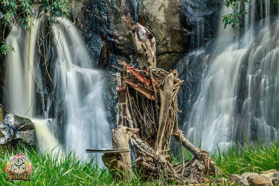 >Esculturas de galhos, <strong>Pulsar Festival</strong> e no <strong>ReveillOz | </strong>Fotografia (1ª):  <strong><a class=