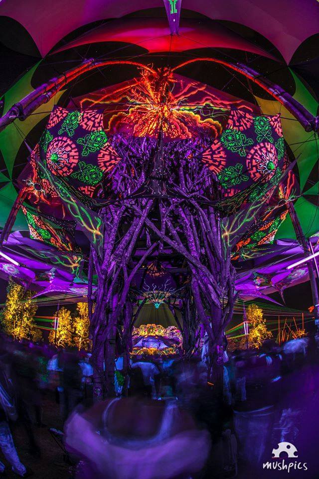 >Estrutura: <strong>Djalus</strong> | Fotografia: <strong><a class=