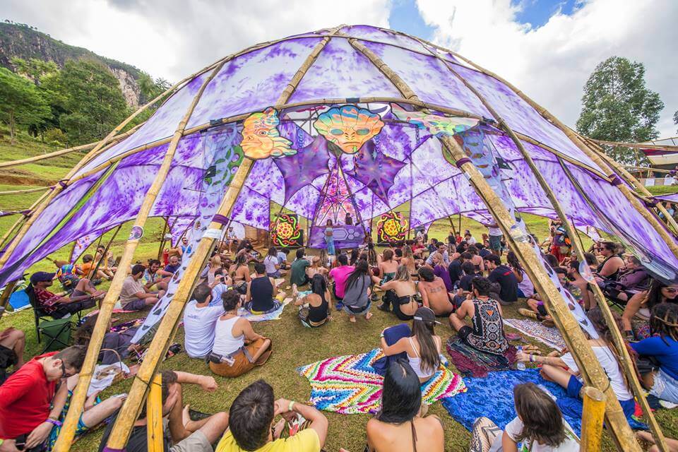 ><img data-lazyloaded=