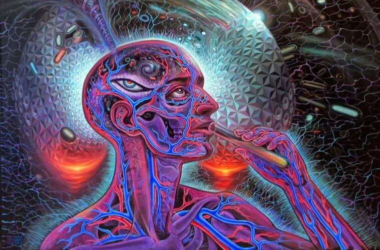 >Imagem: <strong>Alex Grey</strong></p><p>Então, a <strong>ayahuasca</strong> pode ser utilizada como um tratamento complementar? Mais serotonina = mais felicidade?</p><p>Definitivamente <strong>não</strong>. É importante destacar que <strong>não</strong> é recomendado beber <strong>ayahuasca</strong> enquanto estiver sob tratamento com <strong>antidepressivos</strong>, pois existe a possibilidade de desenvolver uma <a href=