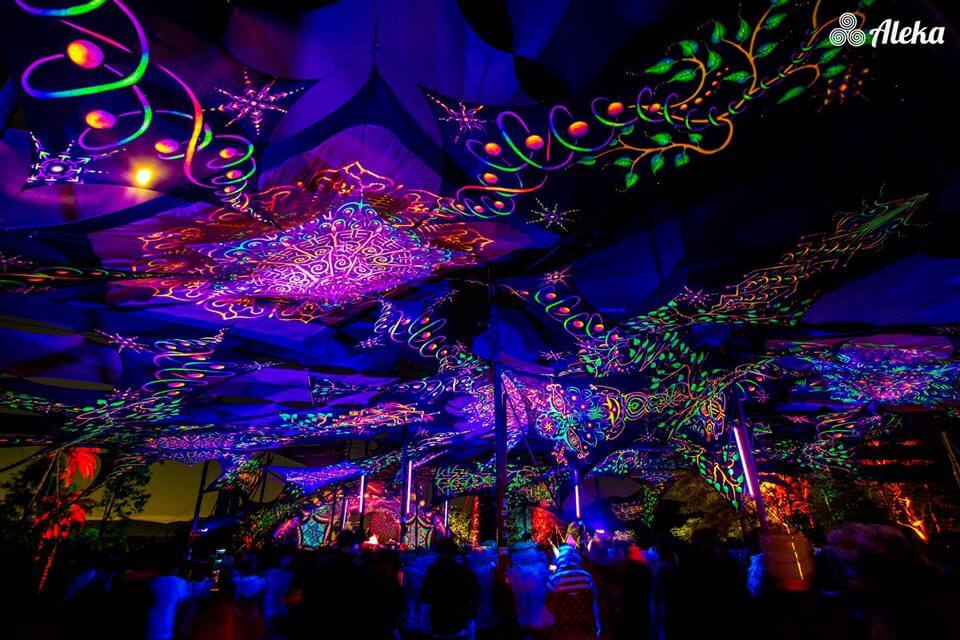 ><img data-lazyloaded=