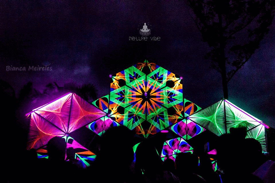 ><strong>Nature Vibe </strong>2015 | <a class=