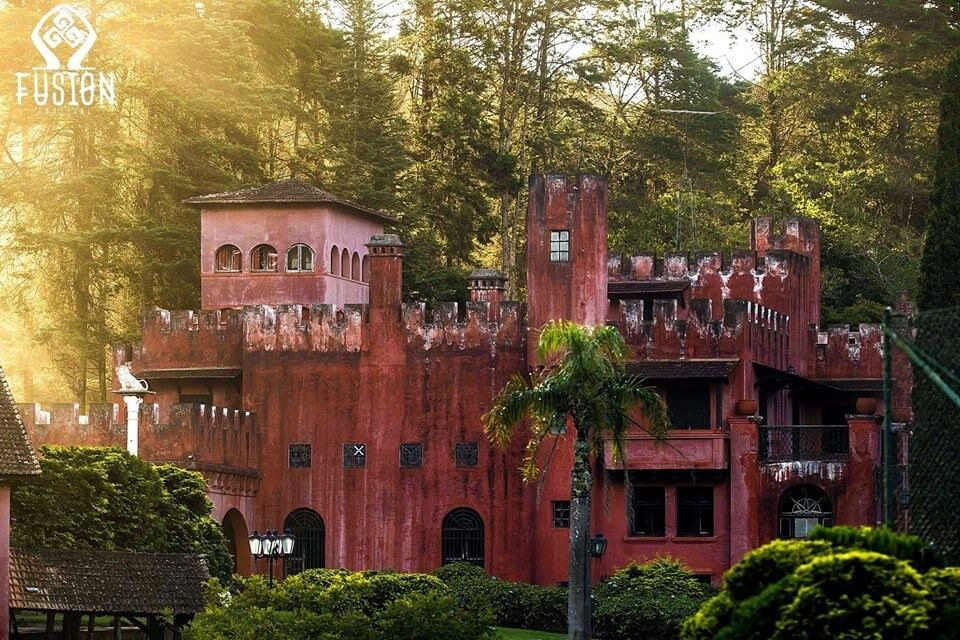 >Fotografia: <a class=